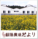 hz_ꂾ